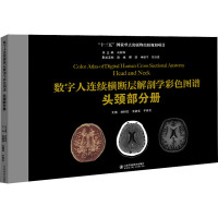 数字人连续横断层解剖学彩色图谱 头颈部分册 刘树伟,王韶玉,于乔文 编 生活 文轩网