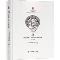 鸟 尼尔莫勒·沃尔马短篇小说集 (印)尼尔莫勒·沃尔马 著 任婧 译 文学 文轩网