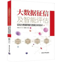 大数据征信及智能评估 征信大数据挖掘与智能分析技术 孙圣力,罗宁,张福浩 编 专业科技 文轩网