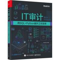 IT审计 用SQL+Python提升工作效率 涂佳兵 著 专业科技 文轩网