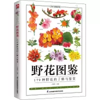 野花图鉴 付彦荣 编 文教 文轩网