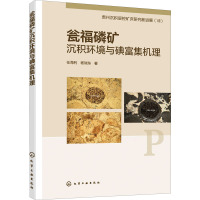 瓮福磷矿沉积环境与碘富集机理 任海利,杨瑞东 著 专业科技 文轩网