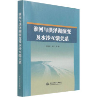 淮河与洪泽湖演变及水沙互馈关系 徐国宾 等 著 专业科技 文轩网