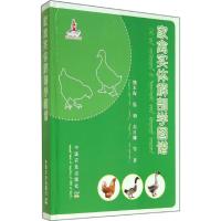 家禽实体解剖学图谱 熊本海 著作 专业科技 文轩网