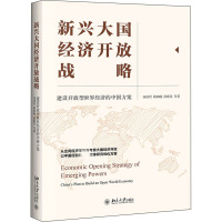 新兴大国经济开放战略 建设开放型世界经济的中国方案 汤凌霄 等 著 经管、励志 文轩网