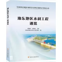 豫东地区水利工程通览 师现营侯晓丽河南省豫东水利工程管理局 著 专业科技 文轩网