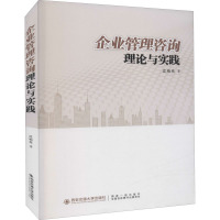 企业管理咨询理论与实践 沈柏亮 著 经管、励志 文轩网