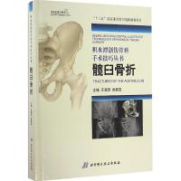 髋臼骨折 王满宜,吴新宝 主编 生活 文轩网