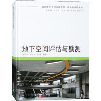 地下空间评估与勘测 顾国荣,杨石飞,苏辉 编著 著作 专业科技 文轩网