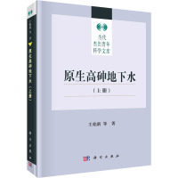 原生高砷地下水(上册) 王焰新 等 著 专业科技 文轩网