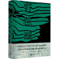 野棕榈 (美)威廉·福克纳 著 斯钦 译 文学 文轩网