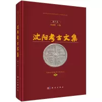 沈阳考古文集(第8集沈阳市文物考古研究所建所二十周年纪念文集)(精) 丛丽莉主编;沈阳市文物考古所 著 社科 文轩网