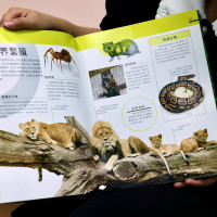 DK动物园背后的故事 [英]DK公司 著 文教 文轩网
