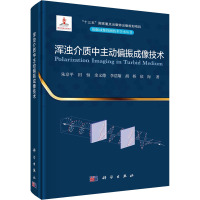 浑浊介质中主动偏振成像技术 朱京平 等 著 专业科技 文轩网