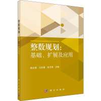 整数规划:基础、扩展及应用 殷允强,王杜娟,余玉刚 编 大中专 文轩网