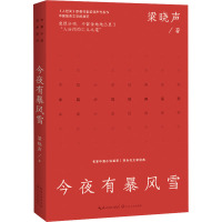 今夜有暴风雪 梁晓声 著 文学 文轩网