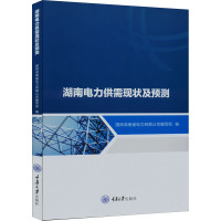 湖南电力供需现状及预测 国网湖南省电力有限公司编写组 编 专业科技 文轩网