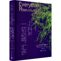 上升的一切必将汇合 (美)弗兰纳里·奥康纳 著 韩颖 译 文学 文轩网