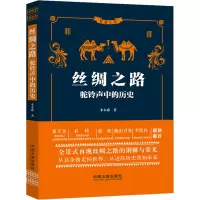 丝绸之路 驼铃声中的历史 水木森 著 社科 文轩网