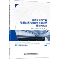 隧道及地下工程地质灾害风险属性区间评估理论与方法 周宗青 等 著 专业科技 文轩网
