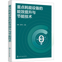 重点耗能设备的能效提升与节能技术 何燕,孟祥文 编 专业科技 文轩网