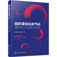 低阶煤流化床气化 理论与工业运行分析 程相龙,郭晋菊 著 专业科技 文轩网