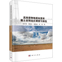 高放废物地质处置库黏土岩预选区调查与筛选 刘平辉 等 著 专业科技 文轩网