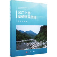 汉江上游底栖硅藻图谱 谭香,刘妍 著 专业科技 文轩网