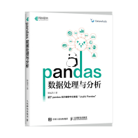 pandas数据处理与分析 耿远昊 著 专业科技 文轩网