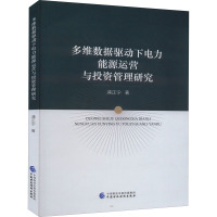 多维数据驱动下电力能源运营与投资管理研究 浦正宁 著 经管、励志 文轩网