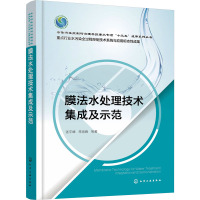 膜法水处理技术集成及示范 张宇峰 等 著 专业科技 文轩网