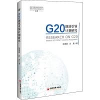 G20能效引领计划研究 张建国,白泉 著 经管、励志 文轩网