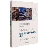 国际文化遗产法律的执行 [意] 弗朗西斯科·弗兰西奥尼 著 程乐 译 经管、励志 文轩网