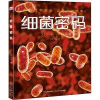细菌密码 礼宾员,华星 著 少儿 文轩网