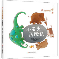小石头历险记 (法)苏菲·莱斯卡特 著 岑艺璇 译 少儿 文轩网