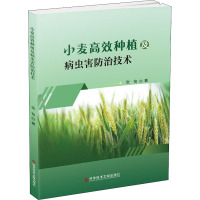 小麦高效种植及病虫害防治技术 张怡 著 专业科技 文轩网