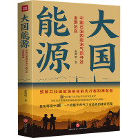 大国能源 中国石油西南油气田开发全景纪实 赵郭明 著 社科 文轩网