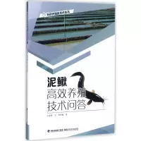 泥鳅高效养殖技术问答 占家智,羊茜 编著 专业科技 文轩网