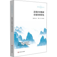 县域乡村教师有效培训研究 戴礼章 编 文教 文轩网