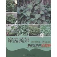 家庭蔬菜零基础种养全图解 她品 编 著 生活 文轩网