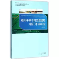 银川平原不同类型湿地碳汇评估研究 卜晓燕 著 著 专业科技 文轩网
