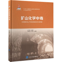 矿山化学中毒 闫立成,张丽锦,袁聚祥 编 生活 文轩网