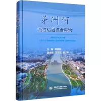 茅洲河流域暗涵综合整治 唐颖栋 编 专业科技 文轩网