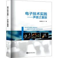 电子技术实践——声音之重放 陈庭勋 编 专业科技 文轩网