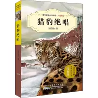 猎豹绝唱 沈石溪 等 著 少儿 文轩网
