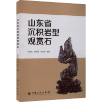 山东省沉积岩型观赏石 张修龙,胡兆国,张保涛 编 专业科技 文轩网