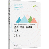 整合、陪伴、激励的力量 青椒计划探索中国乡村教师成长的创新实践 汤敏 编 文教 文轩网