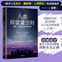 人类仰望星空时 繁星、宇宙与人类文明的进程 (英)乔·马钱特 著 宋阳 译 专业科技 文轩网