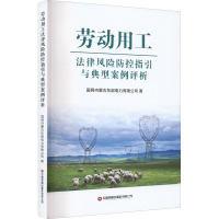 劳动用工法律风险防控指引与案例评析 国网内蒙古东部电力有限公司 著 社科 文轩网