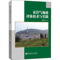 页岩气地质评价技术与实践 郭洪金 著 专业科技 文轩网